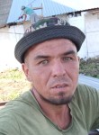 Вадим - Курган