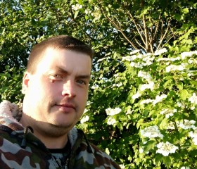 Александр, 37 лет, Зырянское