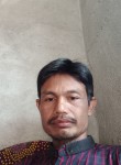 Dedi Suwandi, 29 лет, Kota Bandar Lampung