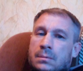 Станислав, 44 года, Артёмовский