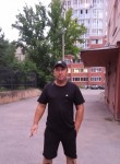 Алексей, 37 лет, Вологда