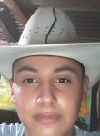 Freddy, 22 года, La Ceiba