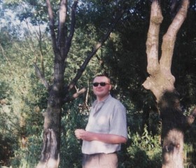 Сергей, 46 лет, Первомайск