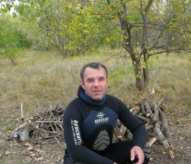 Александр, 65 лет, Димитровград