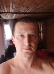 Aleksandr, 39, Zheleznodorozhnyy (MO)