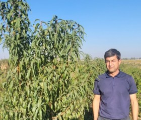 Максуд Муксинов, 34 года, Toshkent