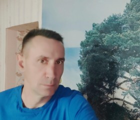 Анатолий, 51 год, Барнаул