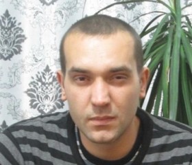Алексей Матвеев, 36 лет, Асино