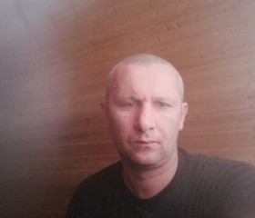 Иван Кашников, 37 лет, Ростов-на-Дону