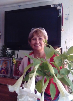 Наталья, 63, Россия, Воронеж