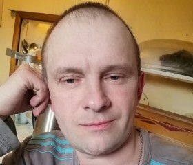 Игорь(, 39 лет, Кировск (Ленинградская обл.)