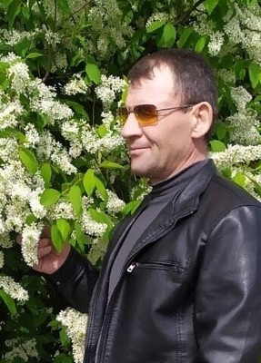 Александр, 52, Россия, Кимовск