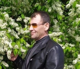 Александр, 52 года, Кимовск