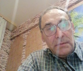 Андрей, 65 лет, Иркутск