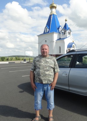Григорий, 72, Россия, Курск