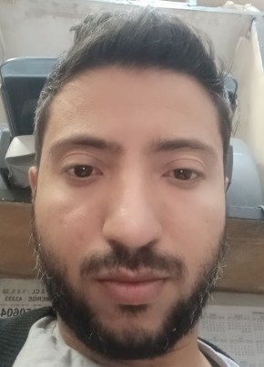 Raul, 31, Egypt, Cairo