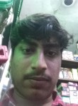 Harsh Tiwri, 21 год, Narsimhapur