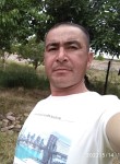 Робингут, 36 лет, Samarqand