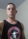 Renato, 49 лет, São Bernardo do Campo