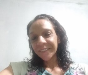 Lucila, 41 год, São Paulo capital