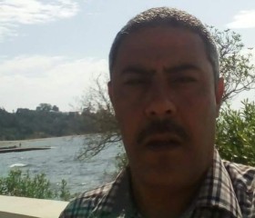 Kada Metlili, 51, Metlili Chaamba