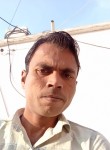 Sanju, 31 год, Alwar