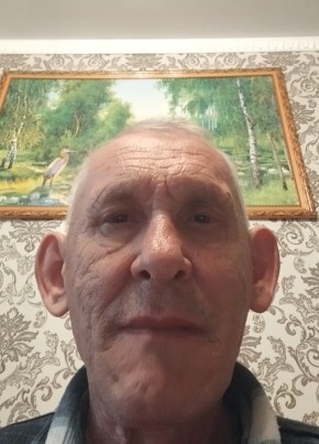 Sergey, 68, Belarus, Hrodna