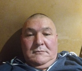 Шавкат, 56 лет, Окуловка