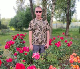 Николай, 47 лет, Дубна (Московская обл.)