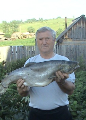 Леонид, 70, Россия, Солтон