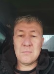 Ерлан, 45 лет, Алматы