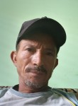 Luis, 49 лет, São Luís