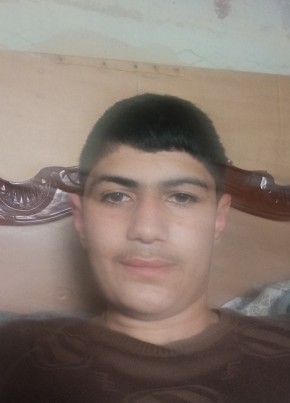 Arsen, 20, Armenia, Yerevan