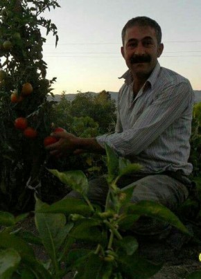 Turgut, 43, Türkiye Cumhuriyeti, Elmadağ