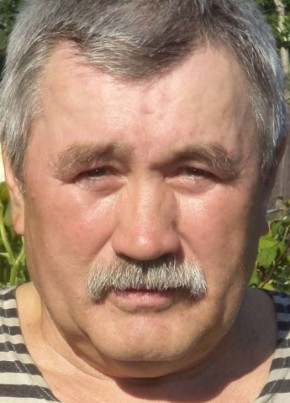 Вячеслав, 70, Россия, Михнево