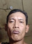 Erik Pedro, 36 лет, Kota Surabaya