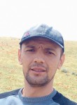 Нозим Шукуров, 39 лет, Toshkent