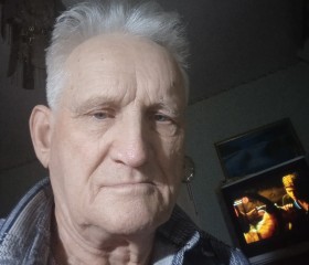 Владимир, 78 лет, Көкшетау