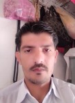 Ali Zain, 29  , Lahore