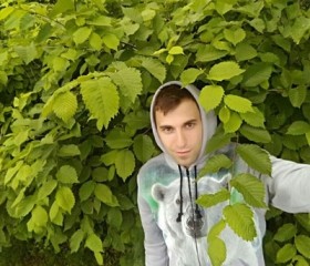 Сергей, 28 лет, Дедовск