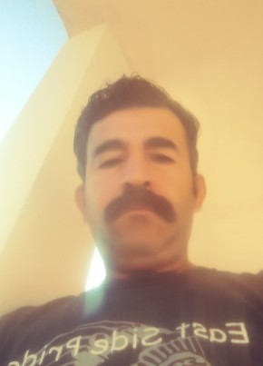 juan fernando, 49, Estados Unidos Mexicanos, Saltillo