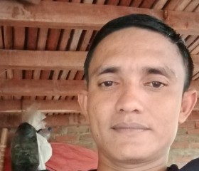 Pura Sebayang, 35 лет, Kota Banda Aceh