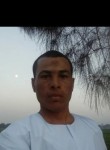 محمود ال راشد, 33 года, طَرَابُلُس