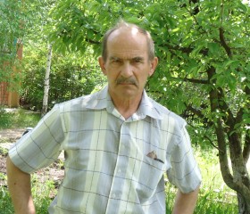 Александр, 67 лет, Самара