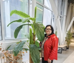 Lyudmila, 65, Zeya