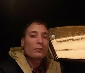 Владимир, 44 года, Александров