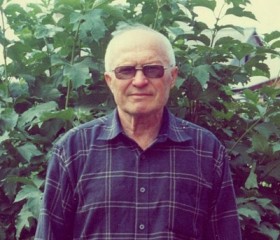 Владимир, 72 года, Шарыпово