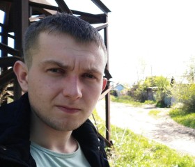 Николай, 29 лет, Артем