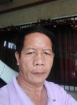 Ronnie ragas, 45 лет, Cebu City