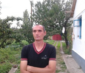 Алексей, 23 года, Симферополь